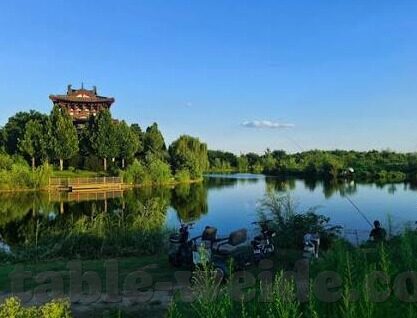日职足球比分直播-实时追踪赛场风云，日职足球比分直播，球迷激情的数字纽带