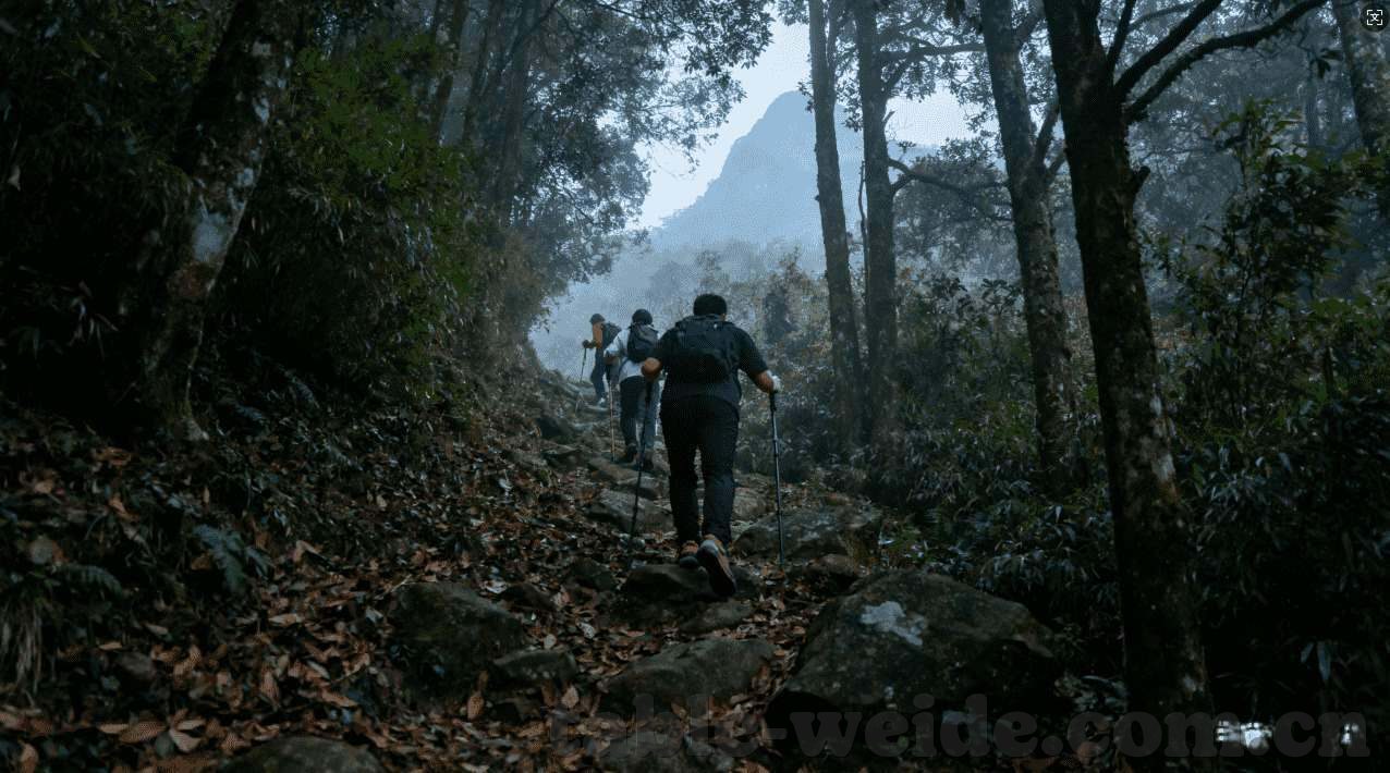 世界杯比赛赔率表-世界杯比赛赔率表，揭示足球博彩的奥秘