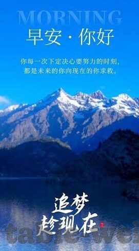 足球比分捷报电脑版-足球比分捷报电脑版，球迷的实时战况追踪神器